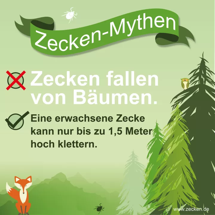 Zecken-Mythen