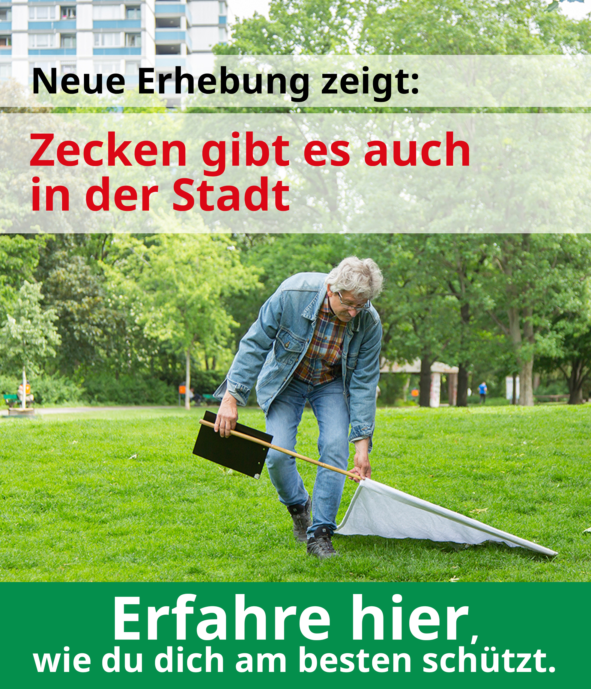 Erhebung - Zecken in der Stadt