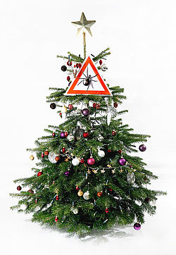 Zecken Weihnachtsbaum