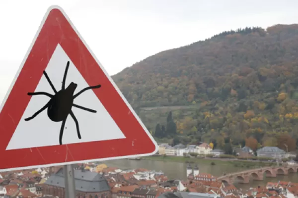 Zeckenwarnschild - Stadt und Berg im Hintergrund