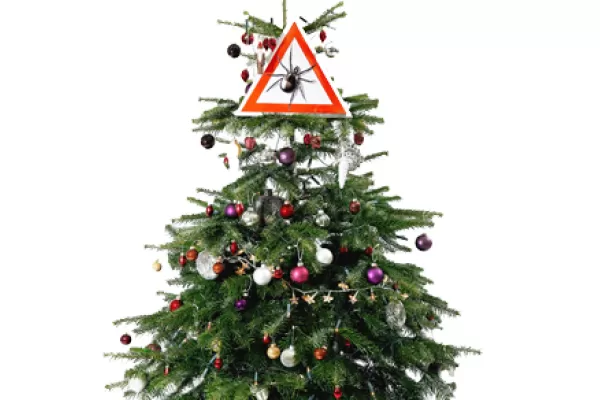 Zeckenwarnschild im Weihnachtsbaum