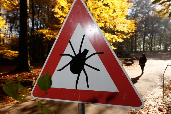 Zeckenwarnschild am Waldrand