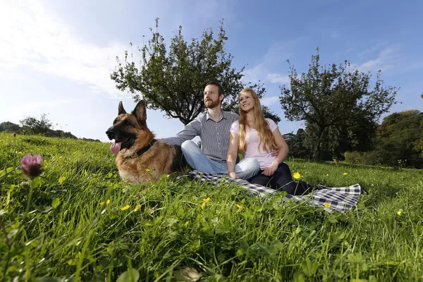 Pärchen beim Picknick