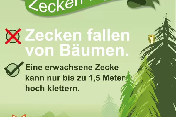 Zecken-Mythen