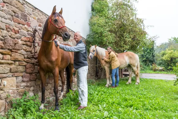 Zecken beim Wanderreiten