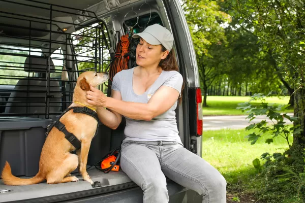 Beim Gassigehen Hund und Mensch gegen Zecken schützen