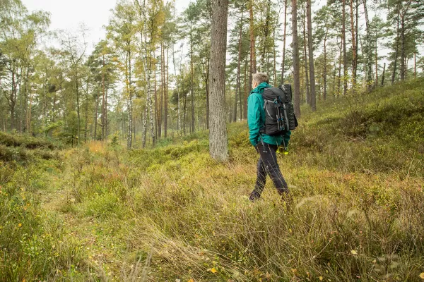 Wanderung im Wald