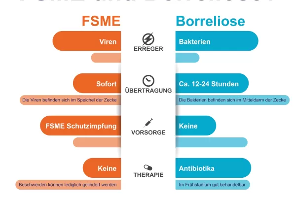 Infografik zur Unterscheidung von FSME und Borreliose