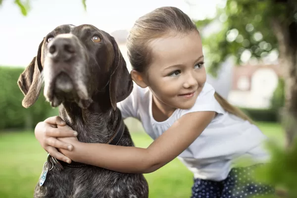 Zecke entfernen beim Hund