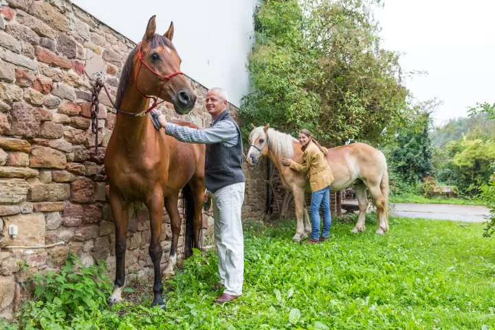 Zecken beim Reiten