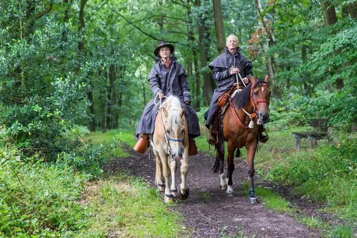 Zeckenschutz auch beim Wanderreiten