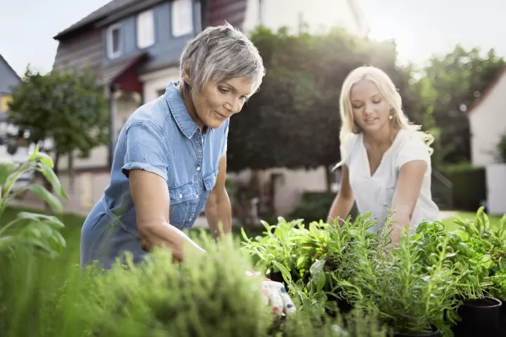 Auf der Hut vor Zecken im Garten