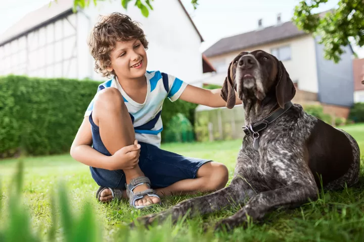 Kleiner Junge streichelt seinen Hund.