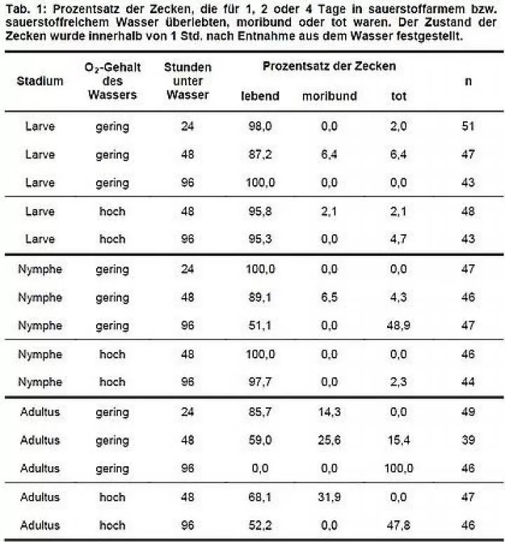 Tabelle/ Bild