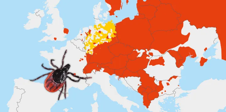 FSME in Europa
