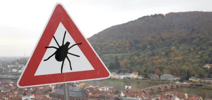 Zeckenwarnschild - Stadt und Berg im Hintergrund