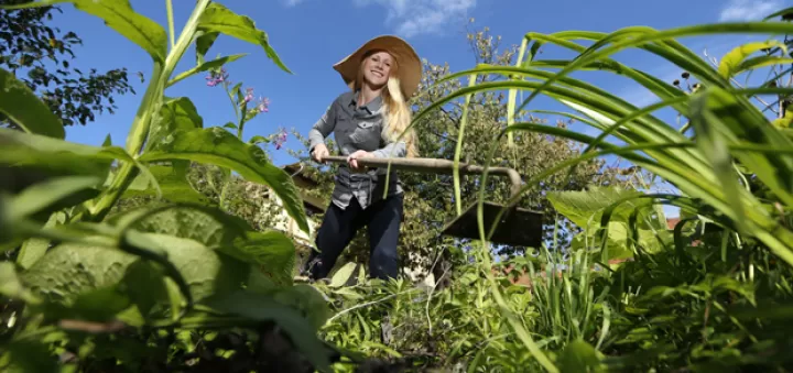 Frau bei der Gartenarbeit