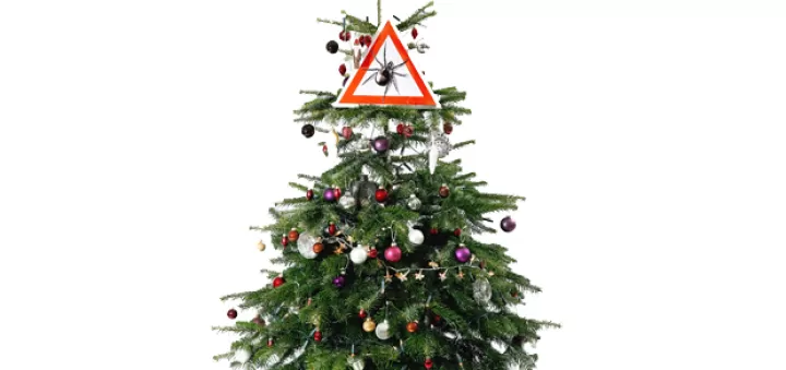 Zeckenwarnschild im Weihnachtsbaum