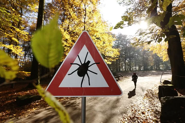 Zeckengefahr im Herbst