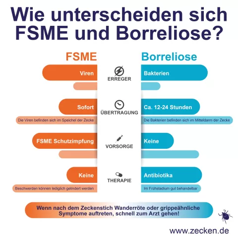 Infografik zur Unterscheidung von FSME und Borreliose