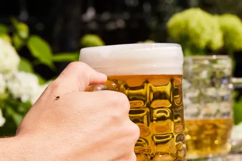 Zecke auf Hand im Biergarten