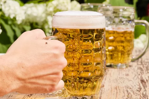 Zecke auf Hand im Biergarten