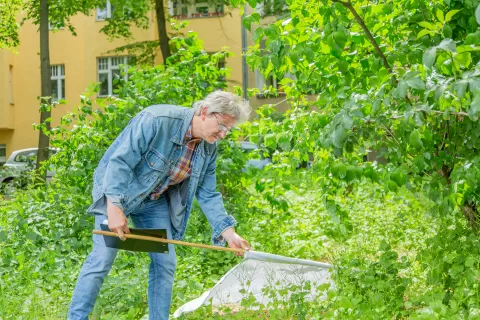 Mann streift Büsche mit weißem Tuch ab